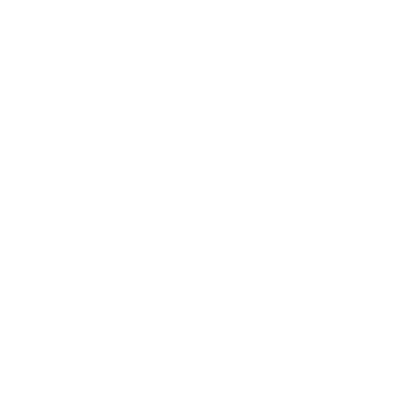THL Success Center